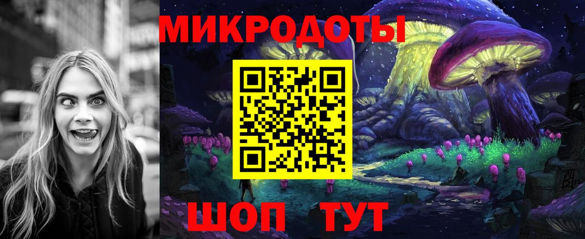 Псилоцибиновые грибы Psilocybe Черкесск
